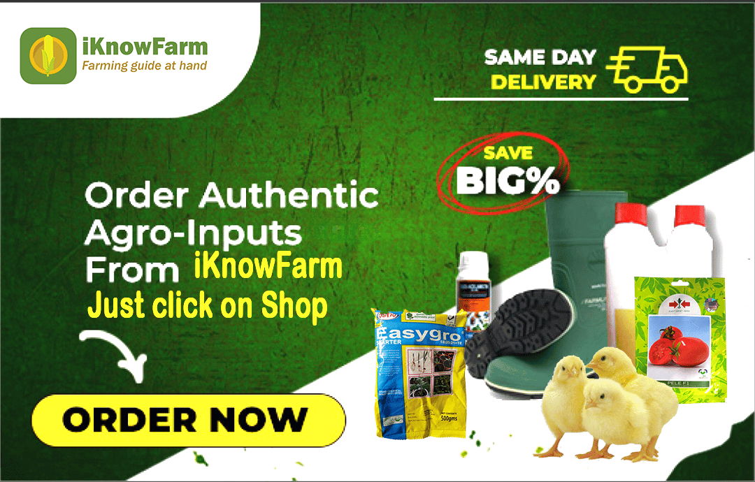 iKnowFarm's tweet photo. Ditch the town trip!  iKnowFarm delivers farm inputs straight to your farm, same-day!  Order now and save time to focus on what matters. #iKnowFarm #AgTech #FarmLife https://t.co/sP2wjUKqDH
