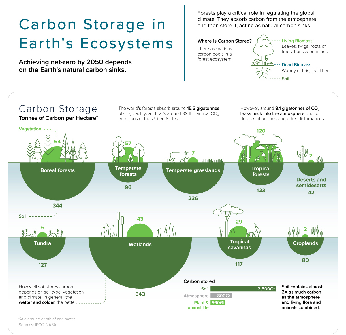 UN Land and Drought (@unccd) on Twitter photo ๐ธ Check out this great @visualcap infographic on natural carbon sinks: #wetlands are in the lead!
#WorldWetlandsDay on 2โฃ February reminds us that when we #ActForWetlands, we act for #Climate.
worldwetlandsday.org ๐ธ<a href="/RamsarConv/">Convention on Wetlands</a>
#united4land #wetlandsandhumanwellbeing ๐ธ Check out this great @visualcap infographic on natural carbon sinks: #wetlands are in the lead!
#WorldWetlandsDay on 2โฃ February reminds us that when we #ActForWetlands, we act for #Climate.
worldwetlandsday.org ๐ธ<a href="/RamsarConv/">Convention on Wetlands</a>
#united4land #wetlandsandhumanwellbeing
