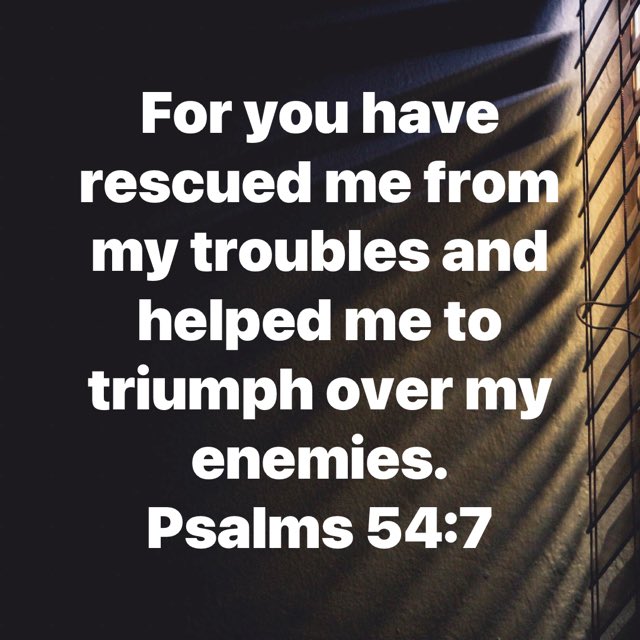 nathanielblow's tweet photo. I declare we are rescued from any from of danger today and this week in Jesus’ name.
Have an amazing week People ! https://t.co/1rJb7jgm4n