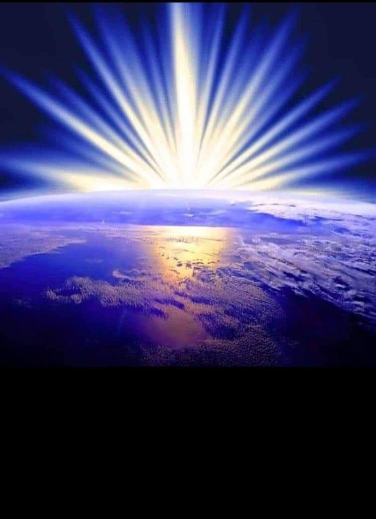 @dessere88fenice tweet media