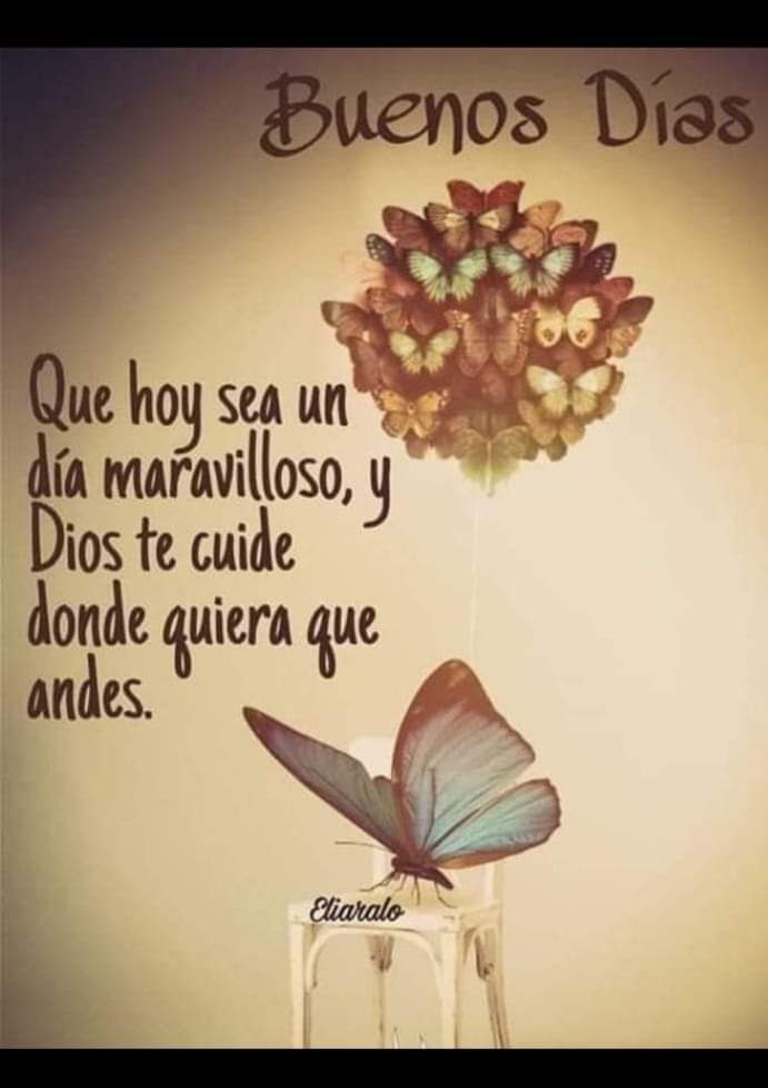Bonito inicio de semana 🙏