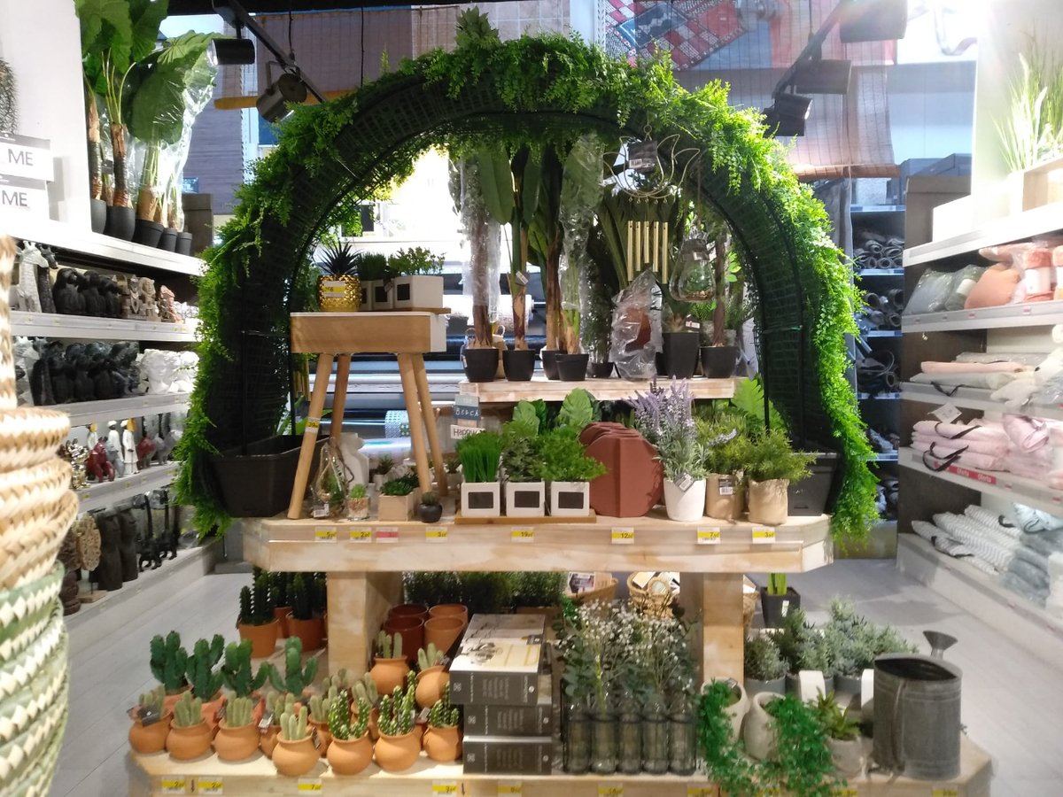 fesmes's tweet photo. La planta, tant natural com artificial, pren el protagonisme en la decoració! 🌿✨

Deixa't captivar pel verd i l'encant de la natura i dona vida a cada racó de la teva llar. Vine a Fesmés i descobreix una àmplia selecció de plantes! 🌿🌟 https://t.co/peF5TdJ9K3