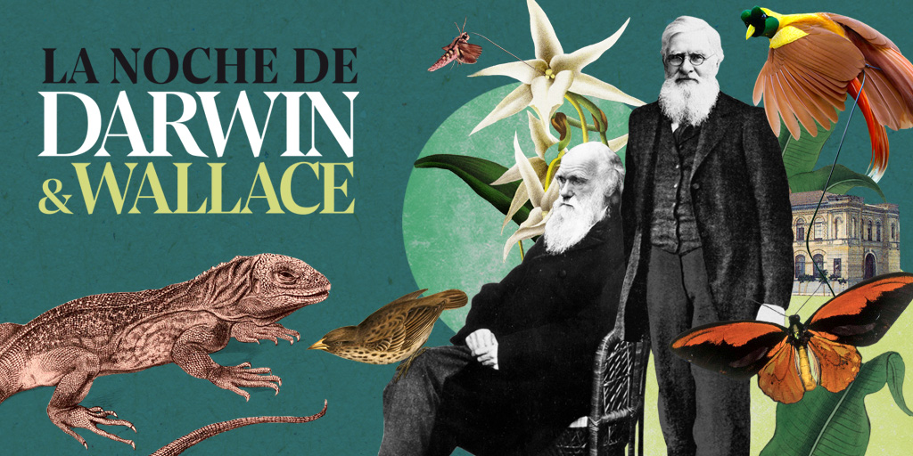 El 10 de febrero celebramos el Cumpleaños de #Darwin homenajeando también a Alfred Russel Wallace 🎩Exposiciones, actividades para toda la familia y, por la noche, una gala llena de ciencia y espectáculo en ‘La Noche de Darwin y Wallace’👇mncn.csic.es/es/visita-el-m…