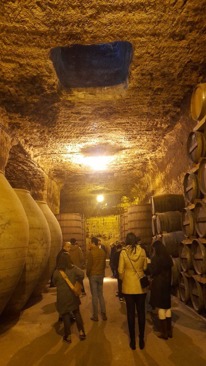 👋 Disfrutando de una visita guiada por Bodegas Verum de #Tomelloso con un grupo de Mérida y Madrid 🍇🍷

¿Quieres visitar las bodegas de Castilla La Mancha? 🙋🙋‍♂️
🌐 sabersabor.es

💚#sabersabor #CastillaLaMancha #experienciasturisticas #winelover #enoturismo #wines