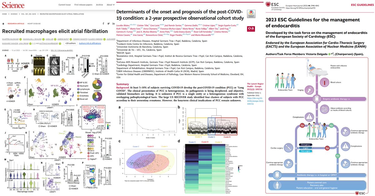 Year in review 2023 scientific throughput of the @IcorCat at @hgermanstrias & @GTRecerca :
✍️ 187 articles (including original articles, reviews & editorials)
👉global IF 2147.7
👏Mean IF 11.5
Grateful to all the support received to accomplish 🔝achievements
@CIBER_ISCIII @iCERCA