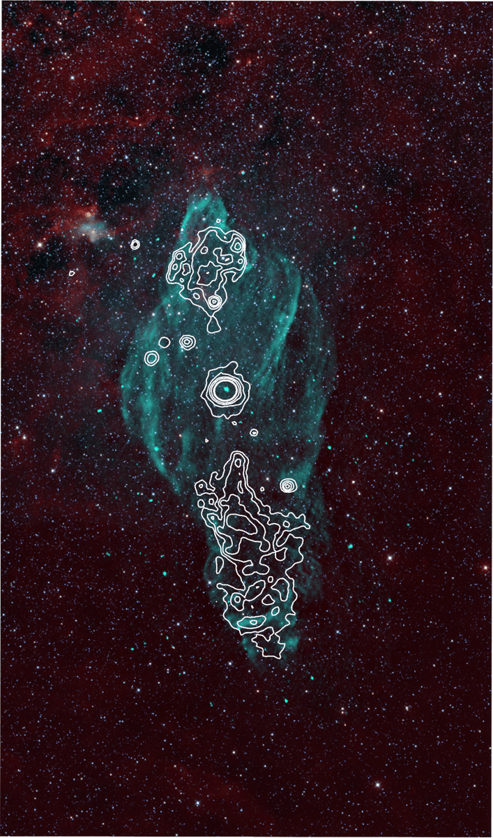 hesstelescopes's tweet photo. Before showing you what we found, here is a *real* image of the system. Everything above was an artist's impression. 
In blue is the Manatee Nebula (you see it? 🦭), in white is the outline of the x-ray emission from the jets.

Credit: @TheNRAO @NASA https://t.co/zyqqgBvWgn