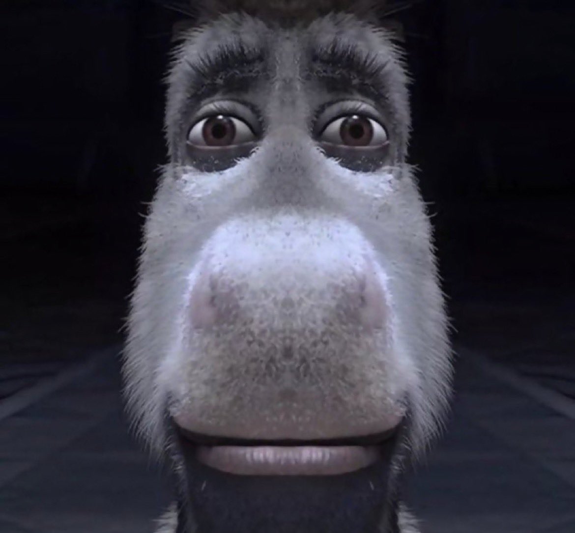 🕸🕷 tweet media