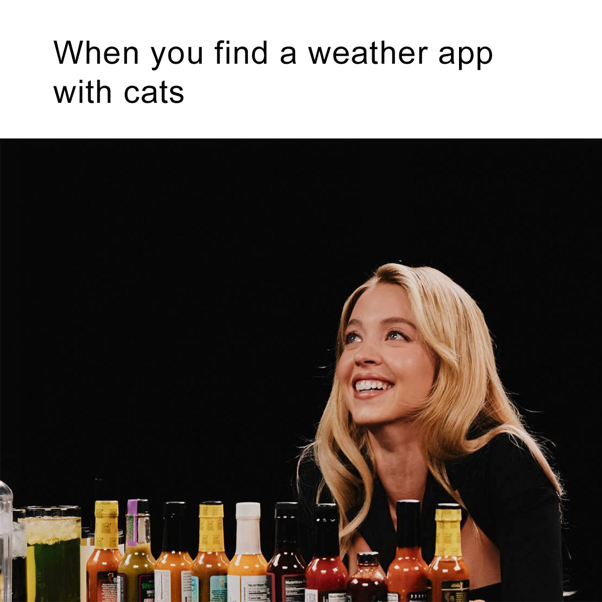 WeatherKitty's tweet image. 