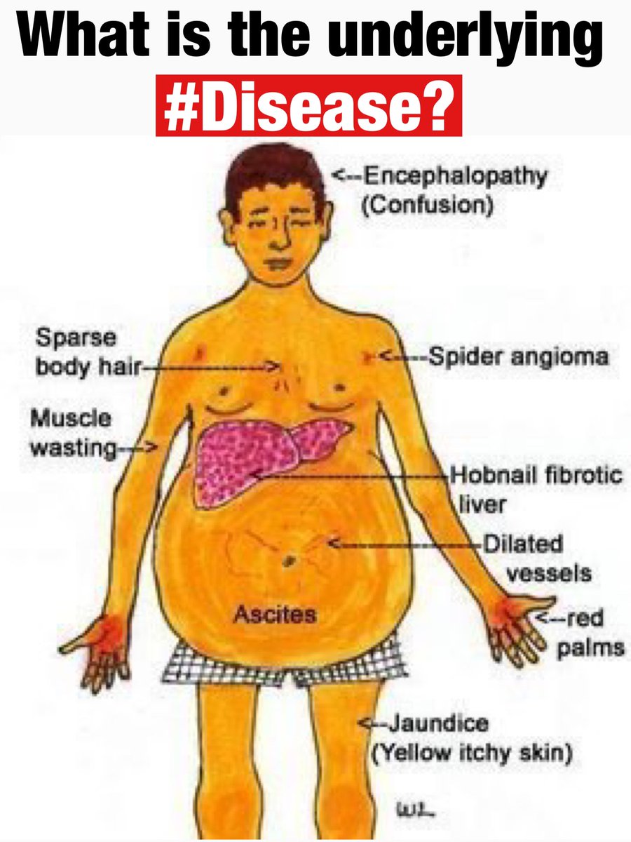 Dr. Medica🩺 tweet media