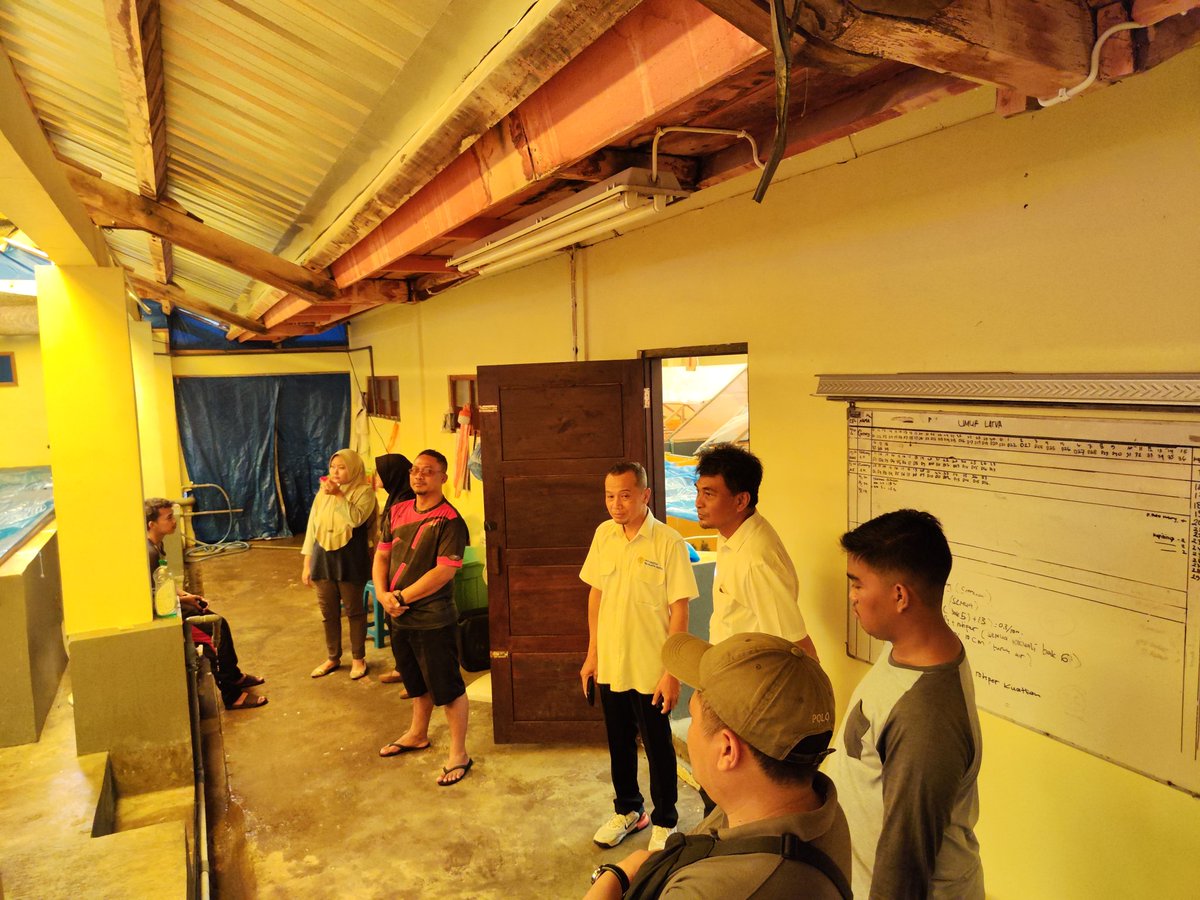 bppsdm_gondol's tweet photo. Kunjungan tim dosen Universitas Trunojoyo dalam rangka monitoring mahasiswa yang sedang praktek kerja lapang di kegiatan #SFVUPT #BBRBLPP. Dilakukan juga peninjauan fasilitas Budidaya dan inisiasi peluang kerja sama
@bppsdm_kp
@in_radiarta
#2024KKPBeyond
#SDMKP
#SDMUnggul https://t.co/isiGaKAK84