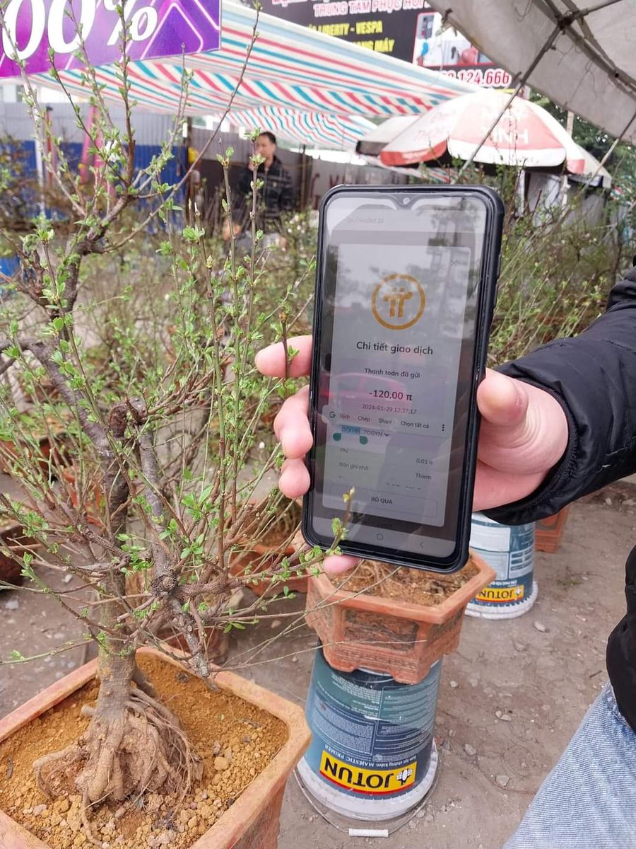 tam crypto tweet media