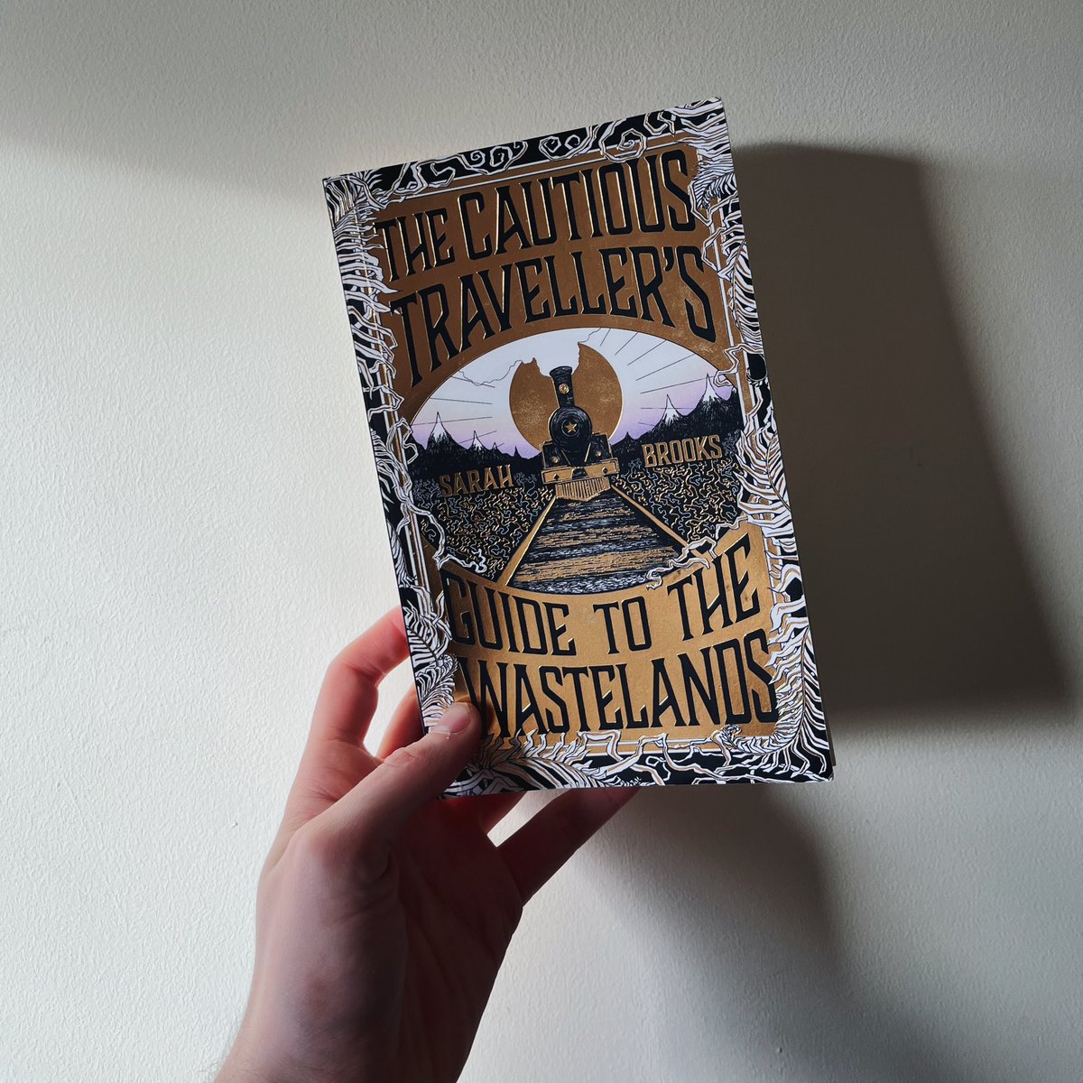 lost myself to @Sarah_L_Brooks’s exceptional, haunting debut, The Cautious Travellers Guide to the Wastelands, over the last week or so — a beautiful and peculiar novel about how travel changes you; one to savour. thanks for sending @JaveryaI, out June from @wnbooks🚂