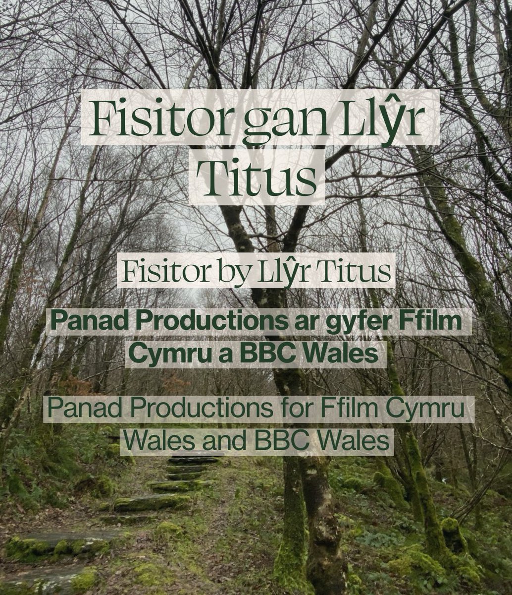 O dan gysgod galar am ei ŵr a chreadur hunllefus o lên gwerin Cymru mae Ioan yn ceisio’i orau i oroesi Noswyl Nadolig.

Ffilm arswyd fer, gwiar gan @LlyrTitus yn saethu ym mis Ebrill, da ni'n chwilio am bobl i weithio hefo ni mewn sawl adran.

Mwy o wybodaeth yn ein bio, diolch!