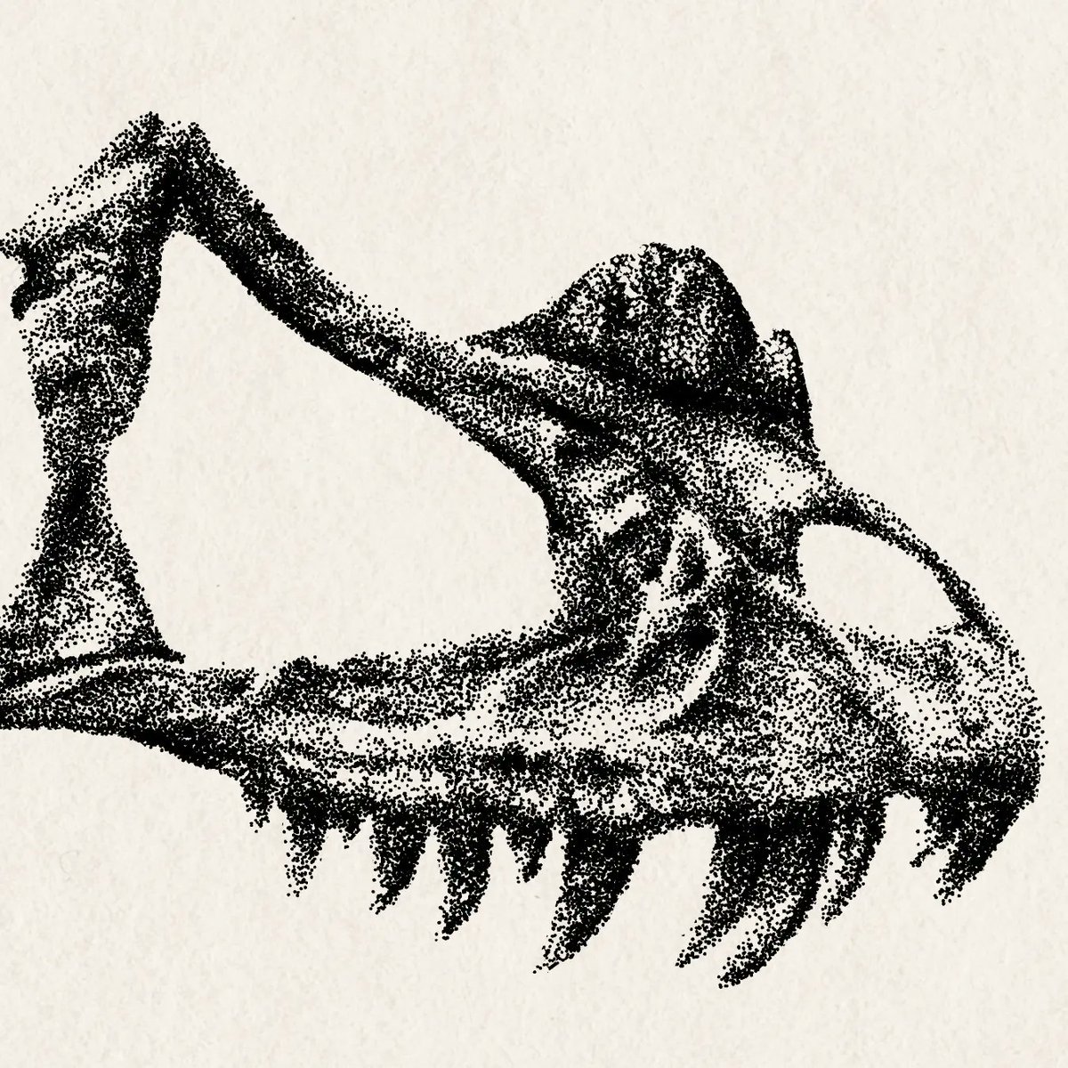 🦖 𝘊𝘦𝘳𝘢𝘵𝘰𝘴𝘢𝘶𝘳𝘶𝘴 𝘯𝘢𝘴𝘪𝘤𝘰𝘳𝘯𝘪𝘴 skull

#ceratosaurus #ceratosaurusskull #paleoillustration #paleoillustrator #dotart #digitalart #madeinaffinity #madewithaffinityphoto