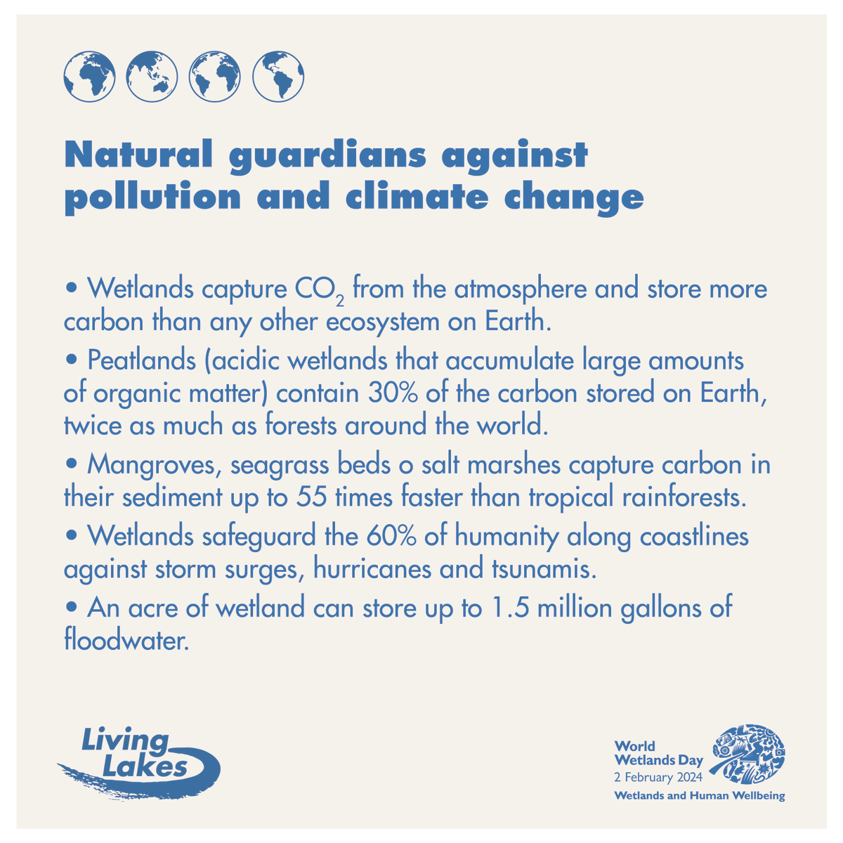 LivingLakesNet's tweet photo. Lakes and wetlands are a powerful natural solution to climate change &amp; environmental challenges such as pollution.

Let’s protect and restore these vital ecosystems!
#SaveTheLakes #WWD2024 https://t.co/DHaEhb2fQs