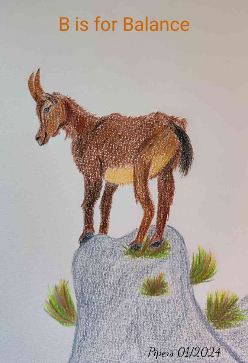 B is for Balance @AnimalAlphabets I chose an ibex because ibexes are excellent climbers and they always seem to keep balance. Happy AAMonday everyone! 🐐 #animalalphabets #illustration #pencilsketch #pencilart #animals #ibex #steinbock