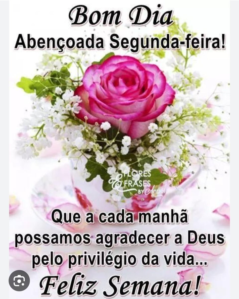 Jairo Firmino Vianna (@jairofirminovi1) on Twitter photo 