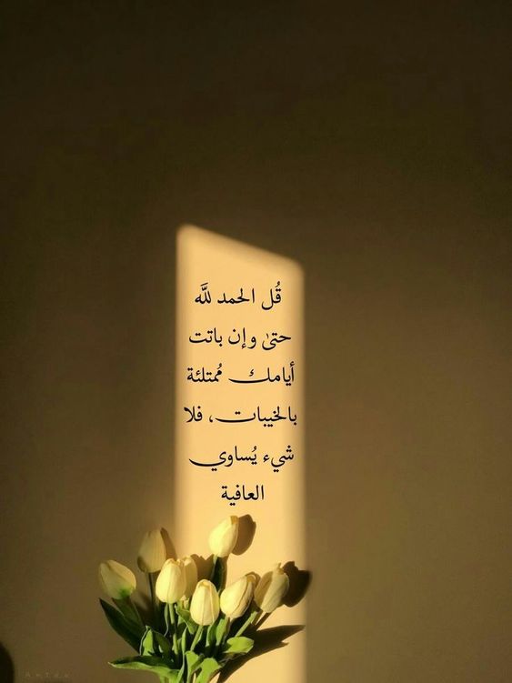 الحمدلله 
#الأردن #ولعت #سارة_السهلي_تستفز_السعوديين #الامارات