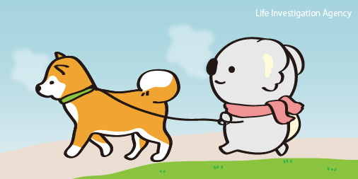LIA_Koalas's tweet photo. おはよ〜。今日は風邪を引いちゃったご近所さんの代わりにごんちゃんのお散歩。早く元気になるといいね。

#LIAコアラ https://t.co/8AXA7hMJil