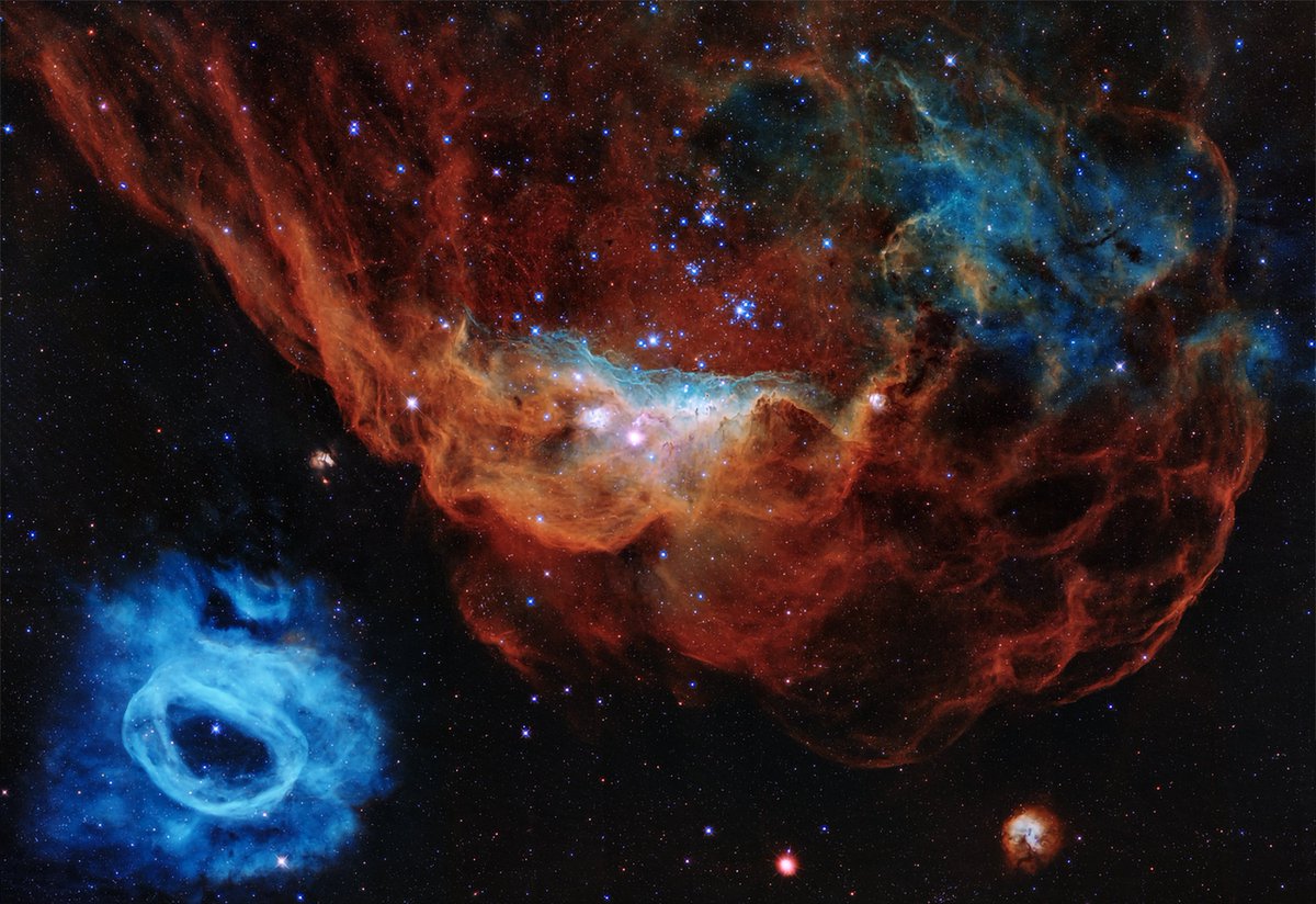 RexRoache74700's tweet photo. [𝟰𝗞] The Cosmic Reff: NGC 2014 and NGC 2020 with A.I upscale.
#hubbletelescope #telescope #Universe #Space https://t.co/cjmTwDeXQy