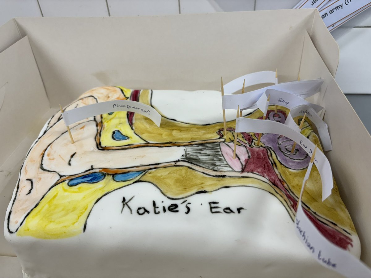 A cake diagram of the ear for homework in Y4. Tasty and educational!