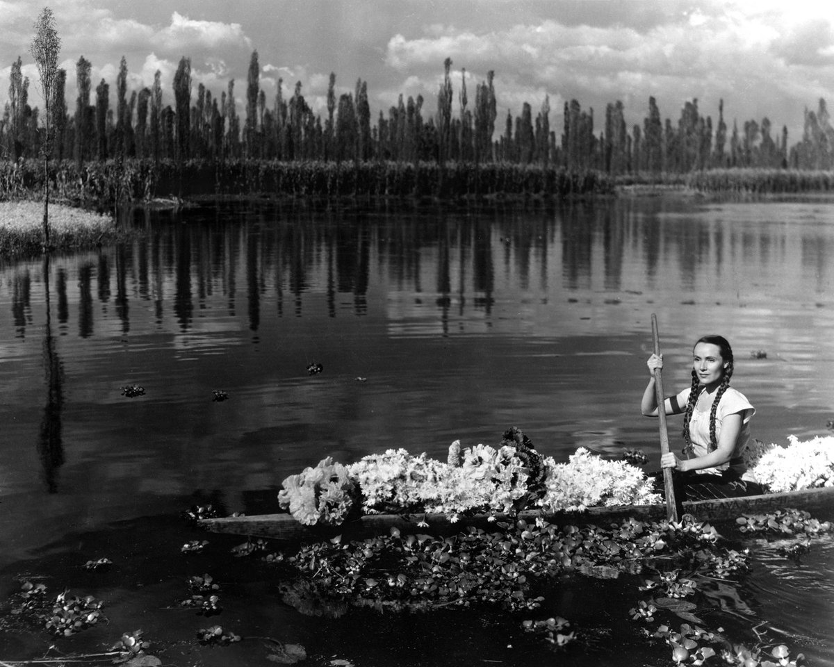 Invisible Women (@iw_archives) on Twitter photo We are so excited to announce that our Dolores del Río retrospective 'Wild Flower, Flaming Star', specially curated for the 2024 <a href="/glasgowfilmfest/">Glasgow Film Festival</a>, is now on sale!
🎟️: glasgowfilm.org/dolores-del-ri… We are so excited to announce that our Dolores del Río retrospective 'Wild Flower, Flaming Star', specially curated for the 2024 <a href="/glasgowfilmfest/">Glasgow Film Festival</a>, is now on sale!
🎟️: glasgowfilm.org/dolores-del-ri…