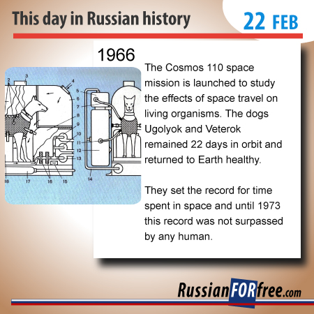 Not only Russian men set records in space. Also Russian dogs did!
