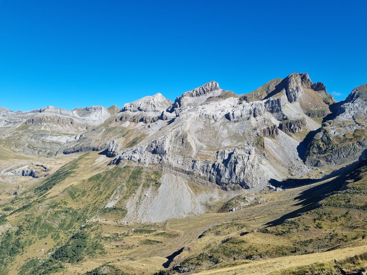 OFERTA DE TRABAJO! Buscamos técnico con experiencia en monitorización acústica (incl detección automática) para proyecto sobre ortópteros pirenaicos. Contrato 6-9 meses, comienzo inmediato en @IPE_CSIC en Jaca. DM si te interesa! Agradecemos difusión. #ecoacústica #AI #ortópteros