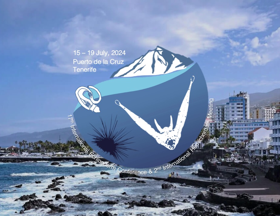 brunapoats's tweet image. wp.ull.es/iec17tenerife/
#echinoderms #tenerife