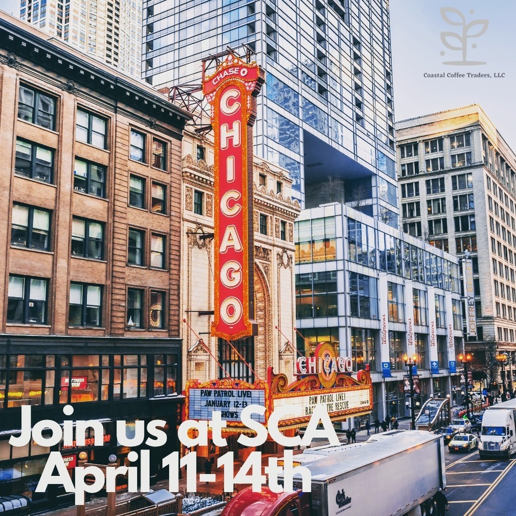 We are excited for this year's SCA conference in Chicago IL April 12-14th and look forward to seeing old and new friends and connecting buyers, sellers and coffee professionals to #MakeCoffeeBetter.

#coastalcoffeetraders 
#specialtycoffee 
#agoracoffeem… instagr.am/p/C2sb7zZx8Xy/