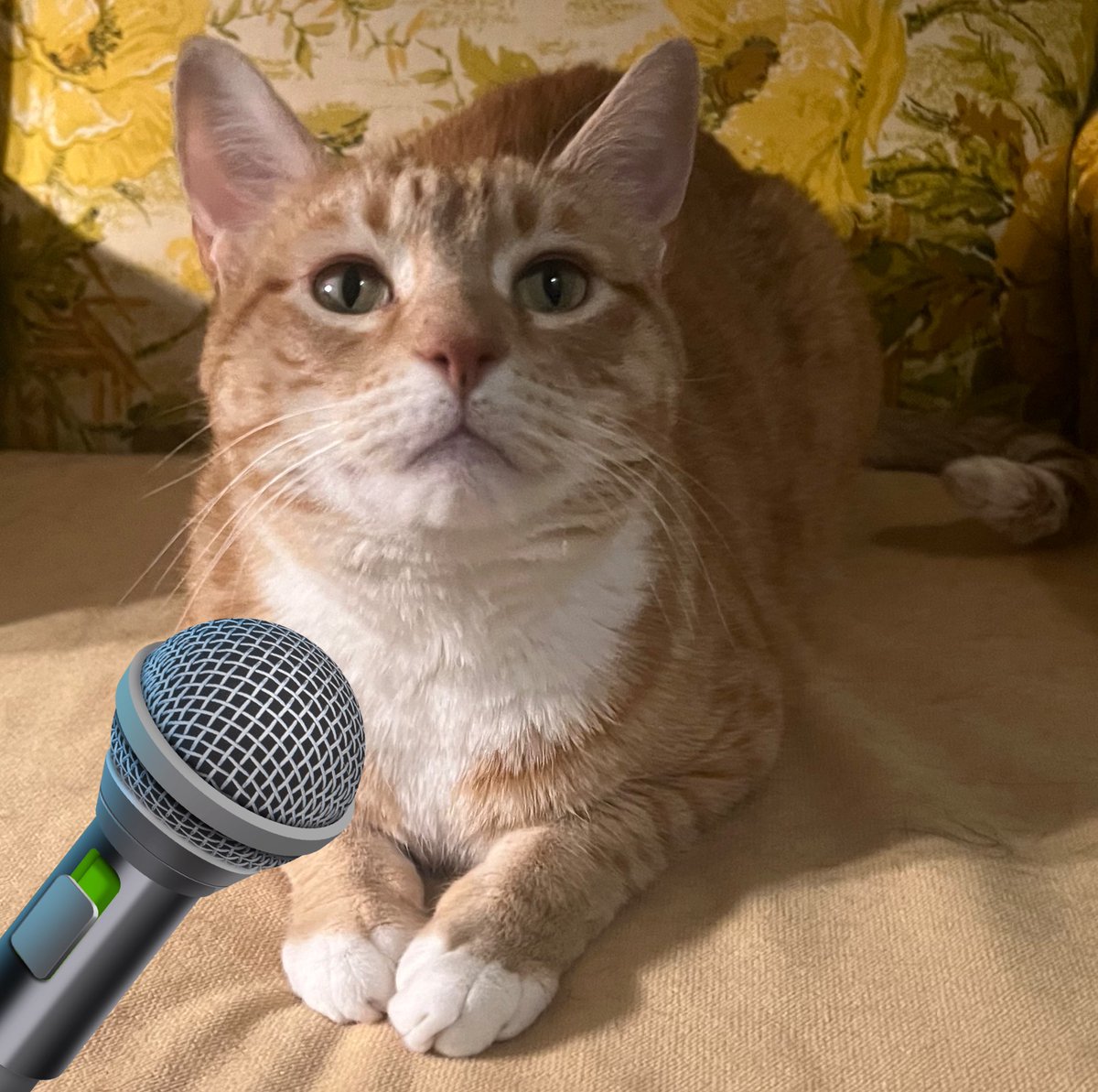 Hello yes I am speaking in support. There are times when it is fine to be a silly guy and other times when we need to get serious. The topic of this bill is not for silly guys time so we should get serious and pass this bill. I urge you to vote yes