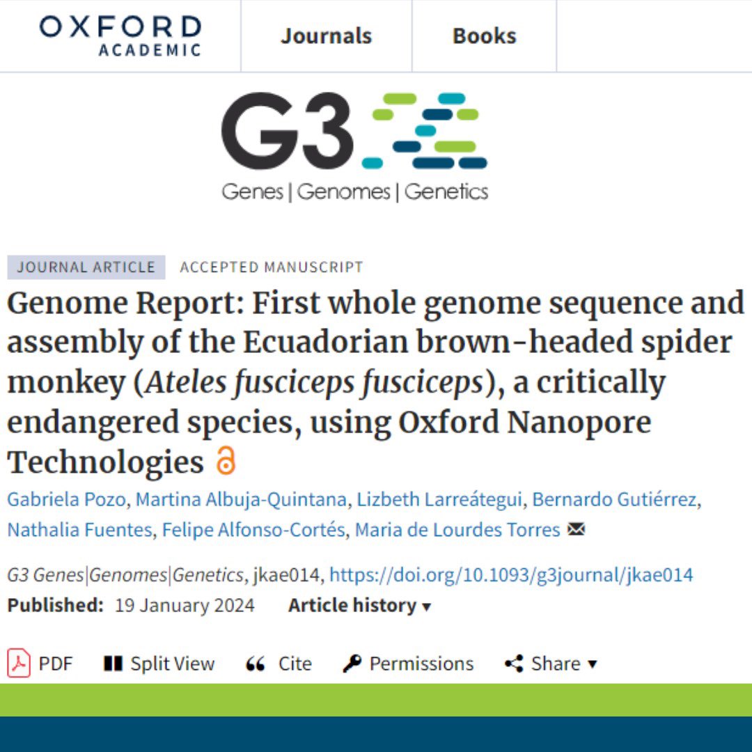 “Genome Report: First whole genome sequence and assembly of the Ecuadorian brown-headed spider monkey (𝐴𝑡𝑒𝑙𝑒𝑠 𝑓𝑢𝑠𝑐𝑖𝑐𝑒𝑝𝑠 𝑓𝑢𝑠𝑐𝑖𝑐𝑒𝑝𝑠), a critically endangered species, using Oxford Nanopore Technologies”