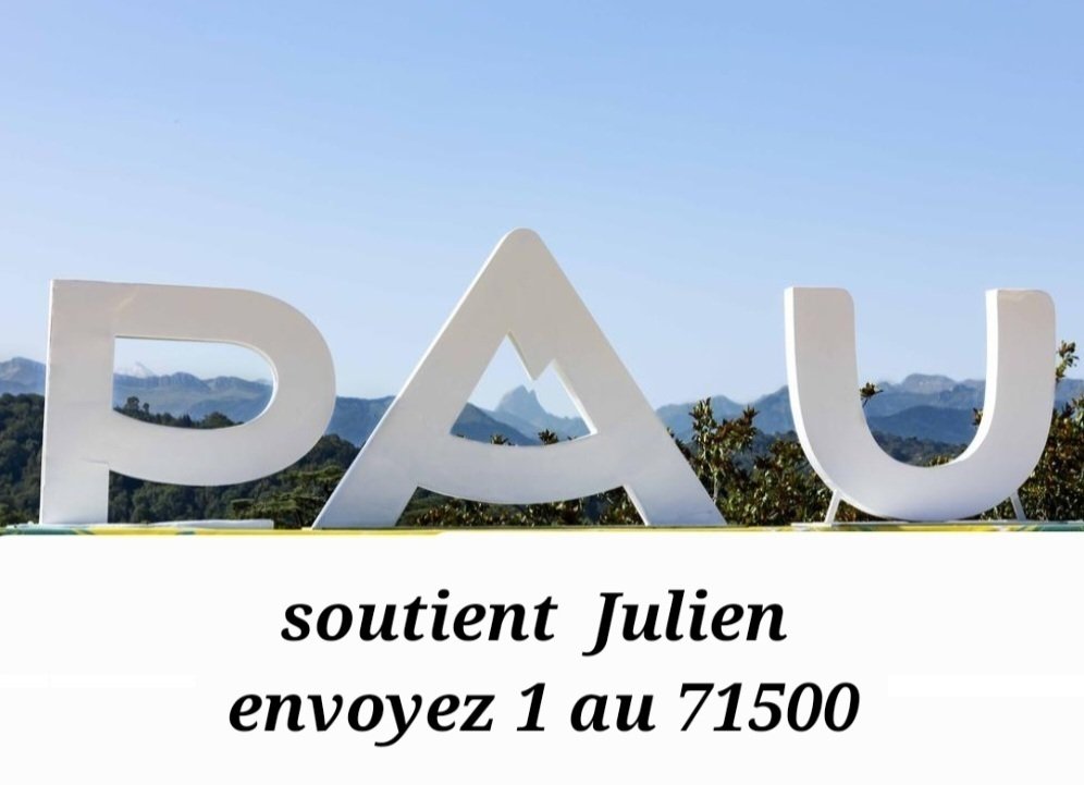 Patricia Wolfs tweet media