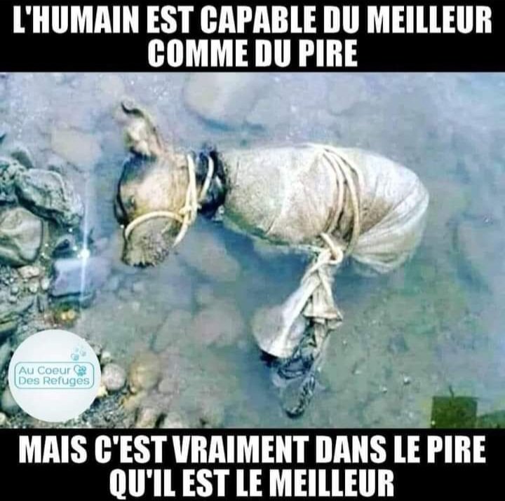 AdeaClaude's tweet photo. https://t.co/MT8kz7E8vg