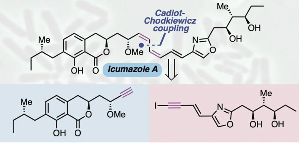 Total Synthesis (@totalsynthesis) on Twitter photo #TotalSynthesis of Icumazole A Using a Modified Cadiot–Chodkiewicz Coupling by Jack Buntine, <a href="/SAMRATD53424314/">Dr Samrat Dasgupta</a>, Keely Dorney, Oscar Rubinstein, Mina Salimimarand, Jonathan M. White, and Mark A. Rizzacasa at <a href="/Bio21Institute/">Bio21 Institute</a> in <a href="/JOC_OL/">J Org Chem/Org Lett</a> pubs.acs.org/doi/10.1021/ac… #TotalSynthesis of Icumazole A Using a Modified Cadiot–Chodkiewicz Coupling by Jack Buntine, <a href="/SAMRATD53424314/">Dr Samrat Dasgupta</a>, Keely Dorney, Oscar Rubinstein, Mina Salimimarand, Jonathan M. White, and Mark A. Rizzacasa at <a href="/Bio21Institute/">Bio21 Institute</a> in <a href="/JOC_OL/">J Org Chem/Org Lett</a> pubs.acs.org/doi/10.1021/ac…