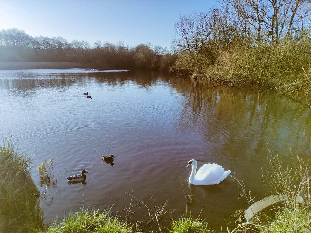 Nice walk today. Is spring in the air?
#greatwyrley #photooftheday