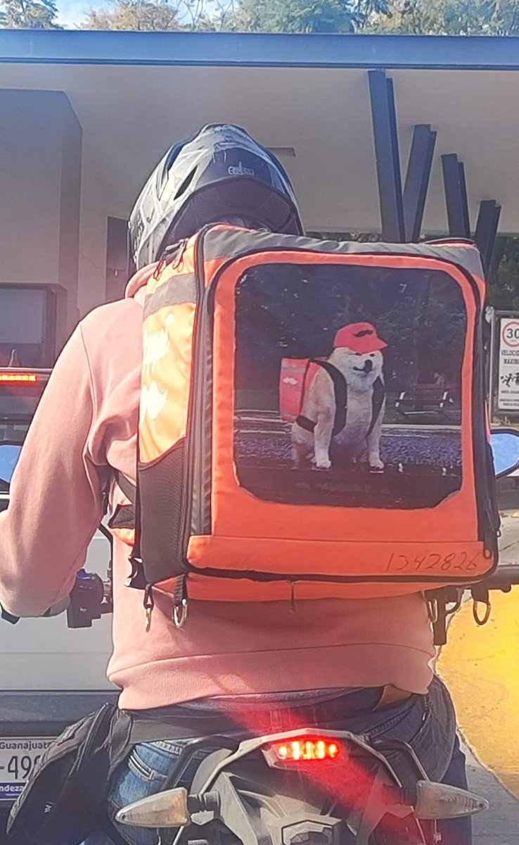 Out Of Context México (@outofcontextmex) on Twitter photo 