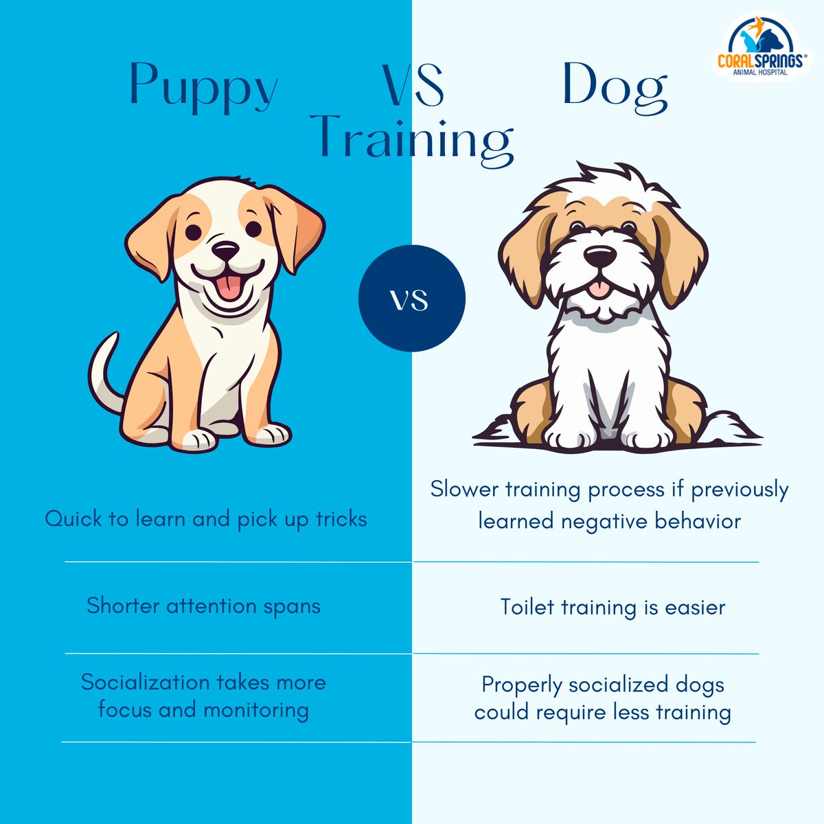 CSAnimalHosp's tweet image. Discover the nuances of puppy exuberance and the gentle wisdom of senior dogs, creating a training journey that meets their unique needs at every stage of life. 🌟🐶