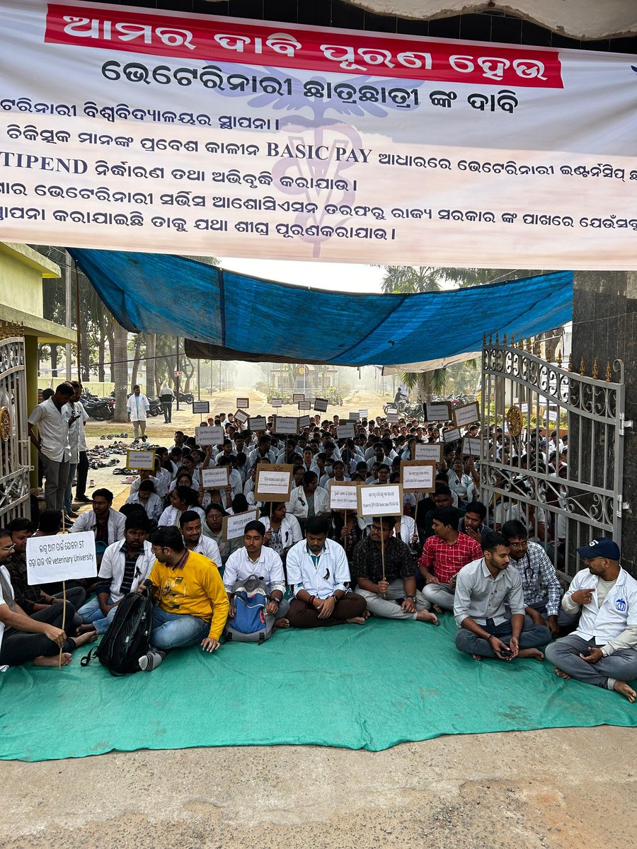 OVSABalasore's tweet photo. We are indebted to students of Odisha Veterinary College for showing their support for the movement of OVSA.
@ovc_unofficial @OVSA_ODISHA @ovsacuttack @OVSA_Puri @OvsaKandhamal https://t.co/m5aLKNy259