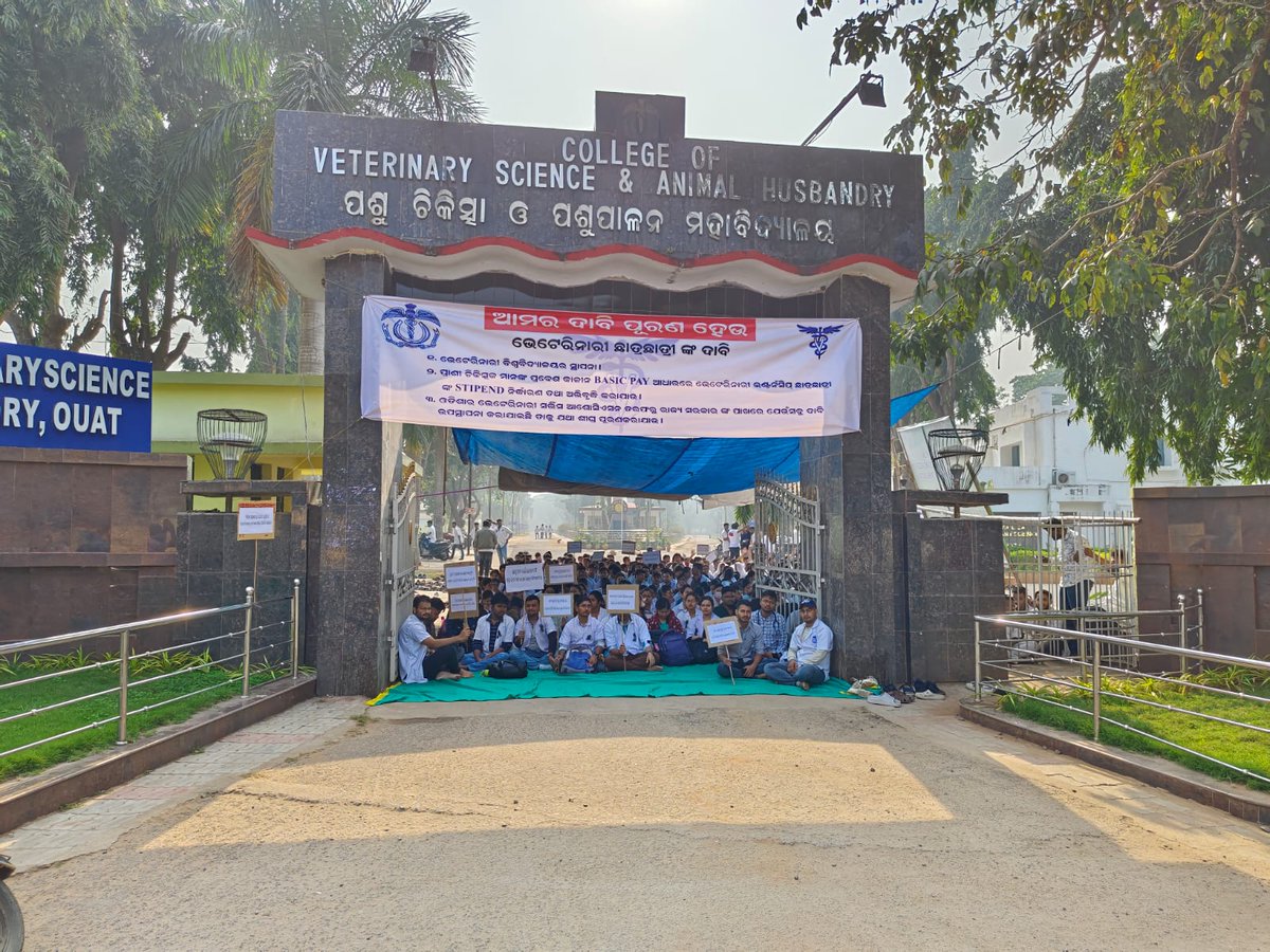 OVSABalasore's tweet photo. We are indebted to students of Odisha Veterinary College for showing their support for the movement of OVSA.
@ovc_unofficial @OVSA_ODISHA @ovsacuttack @OVSA_Puri @OvsaKandhamal https://t.co/m5aLKNy259