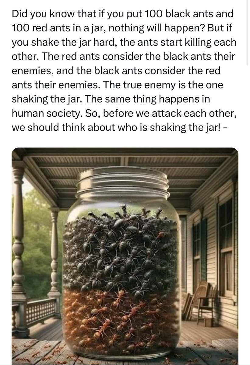 Coach Rajan tweet media