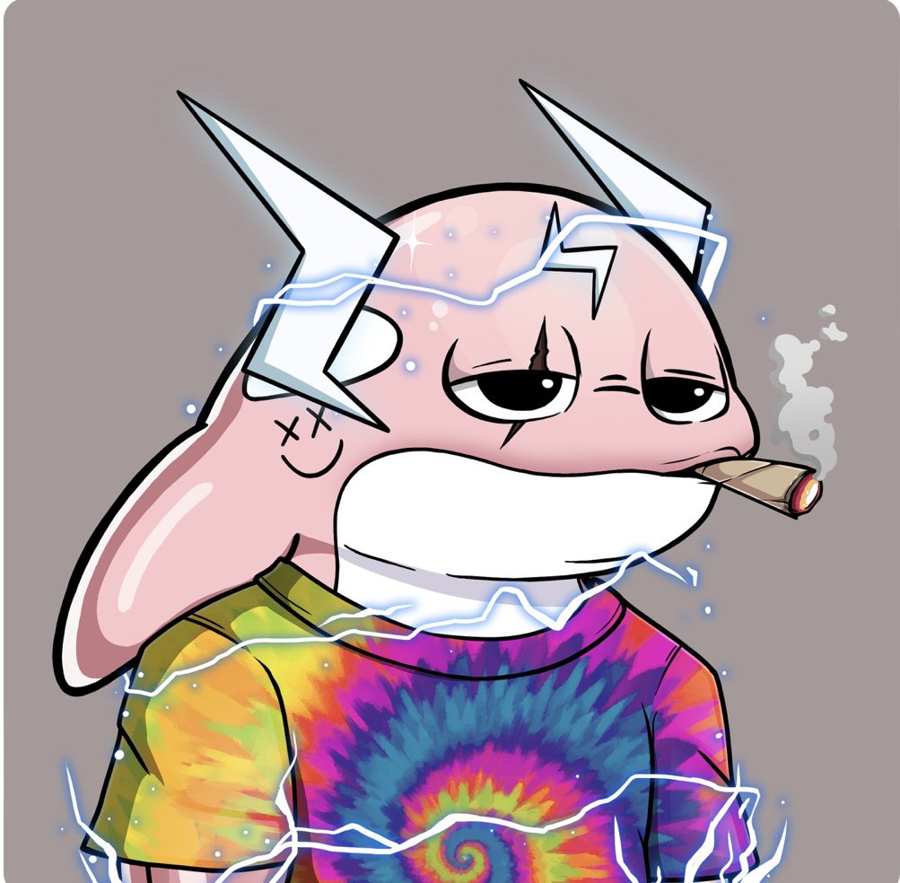 Reep🐋 tweet media