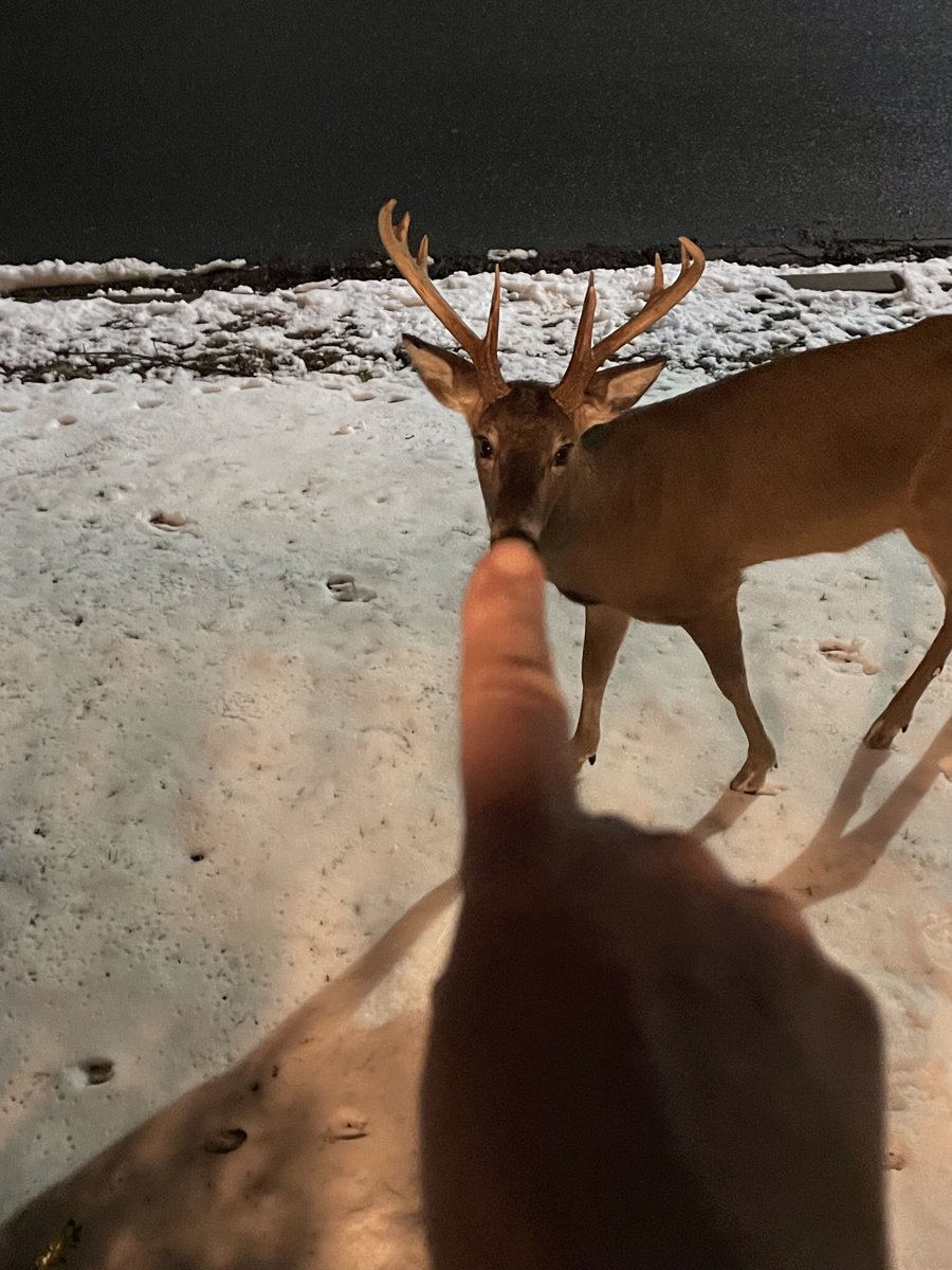 evansake's tweet image. City living!