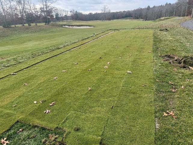 TPC Boston Agronomy tweet media