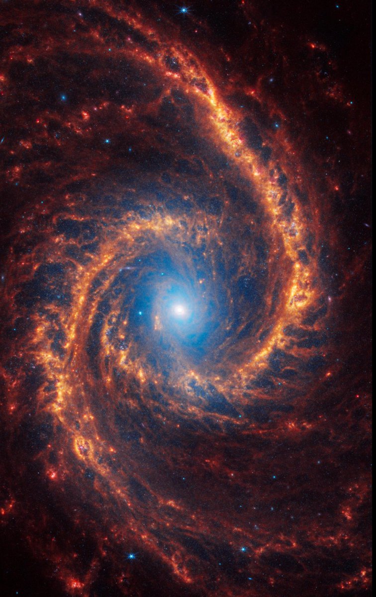 LOOK AT THIS INSANELY BEAUTIFUL AND DETAILED JWST IMAGE OF SPIRAL GALAXY NGC 1566 🌌