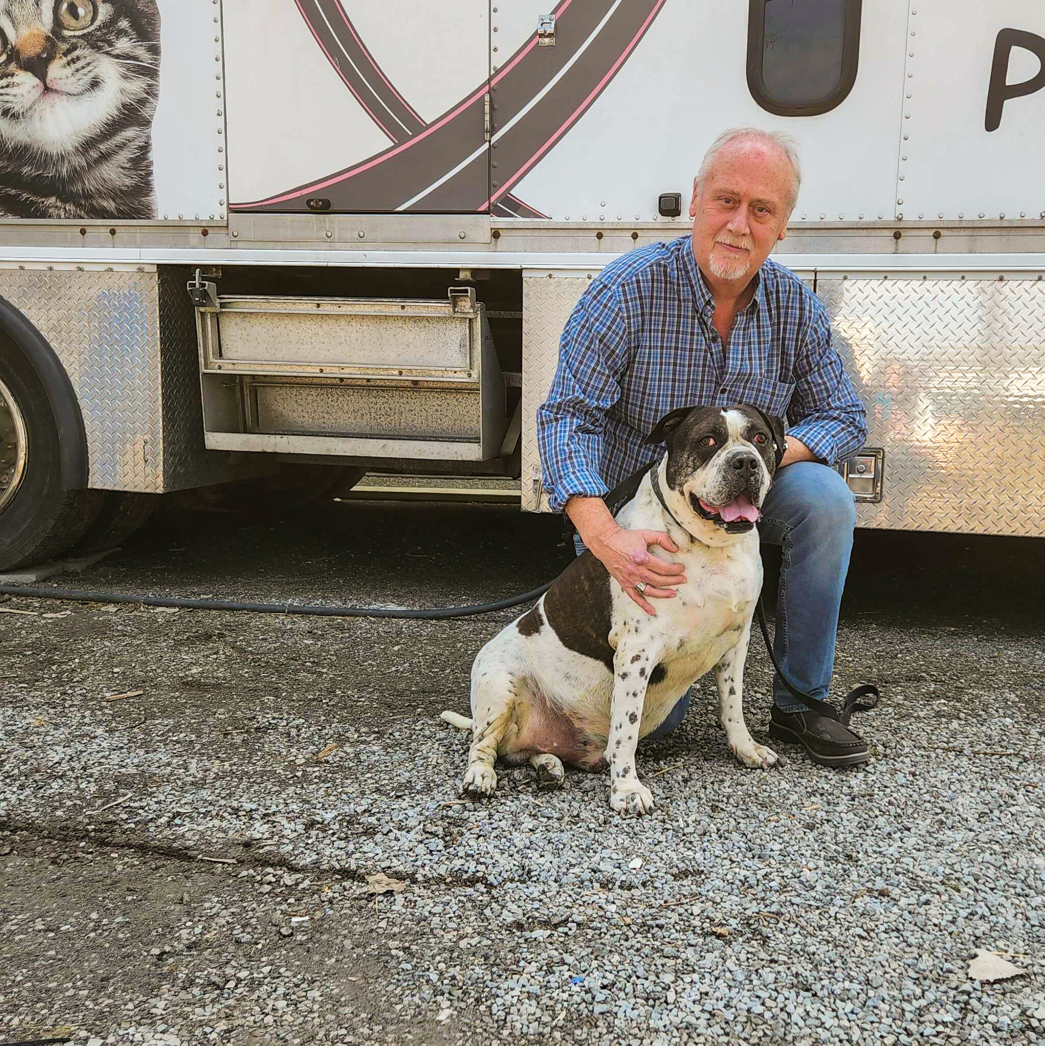 Niagara falls humane society dogs 2025