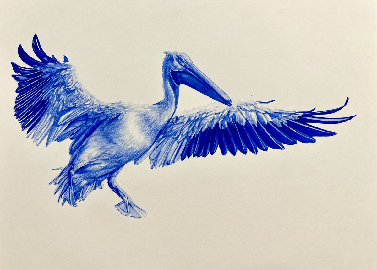 AtelierGeeraets's tweet photo. Zojuist voltooide ik dit werk. Het is een blauwe pelikaan, omdat het kan. 

‘De omhelzing’
29,7 x 42 cm
Aquarelverf op papier

Retweet is lief. https://t.co/AclPRKVQvy
