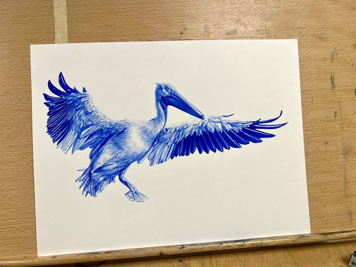 AtelierGeeraets's tweet photo. Zojuist voltooide ik dit werk. Het is een blauwe pelikaan, omdat het kan. 

‘De omhelzing’
29,7 x 42 cm
Aquarelverf op papier

Retweet is lief. https://t.co/AclPRKVQvy