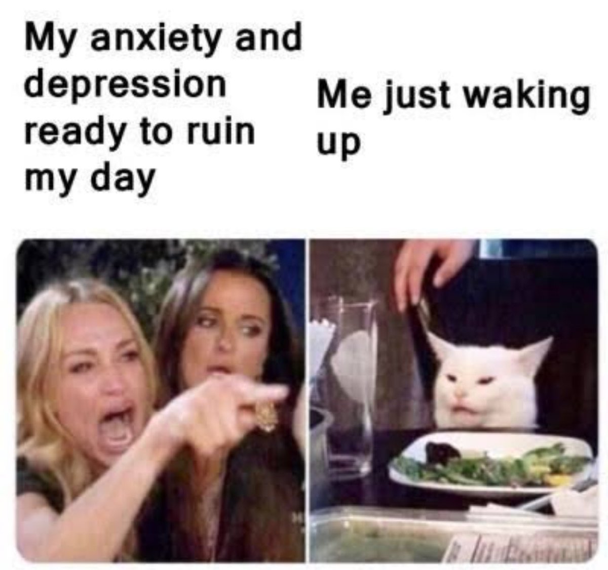 NoContextHumans's tweet image. 