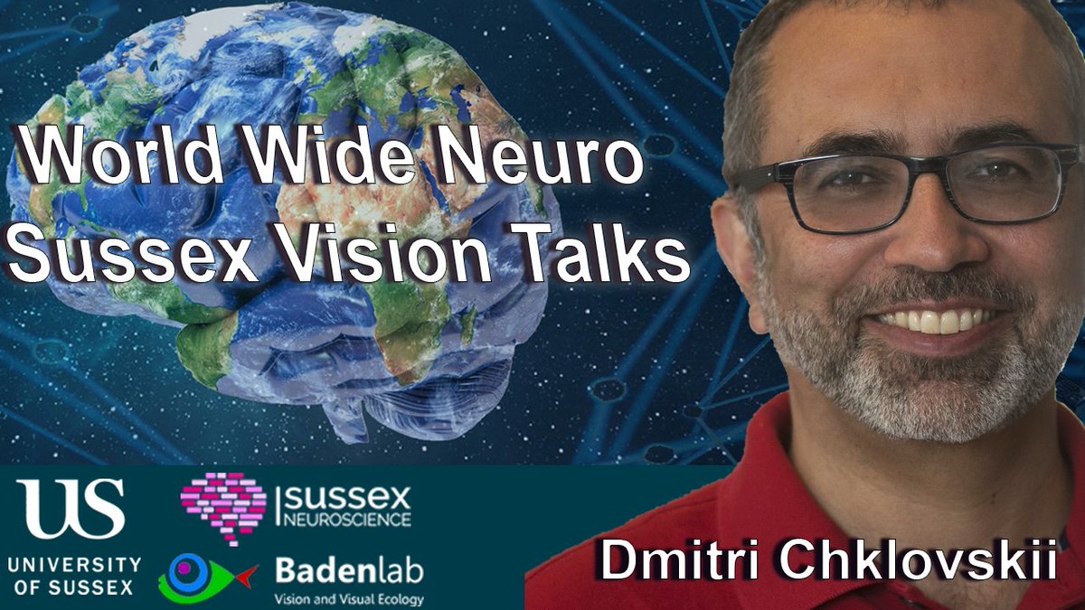 Coming Monday, British afternoon: Elated to be continuing our Sussex Vision series within <a href="/worldwideneuro/">World Wide Neuro 🧠🗺️</a> with <a href="/chklovskii/">Dmitri "Mitya"</a> talking about "Reimagining the neuron as a controller: A novel model for Neuroscience and AI"!
<a href="/NeuroFishh/">Tom Baden</a> 

Here: youtube.com/watch?v=pvji1I…